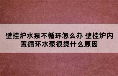 壁挂炉水泵不循环怎么办 壁挂炉内置循环水泵很烫什么原因